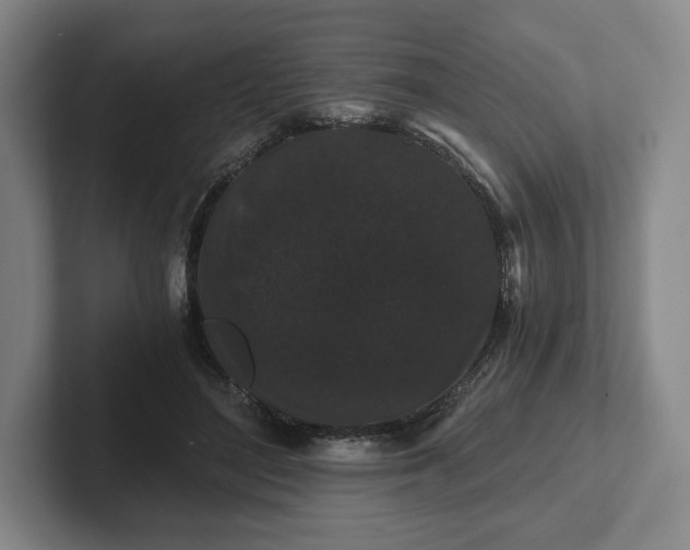 X0000101950500200807251137