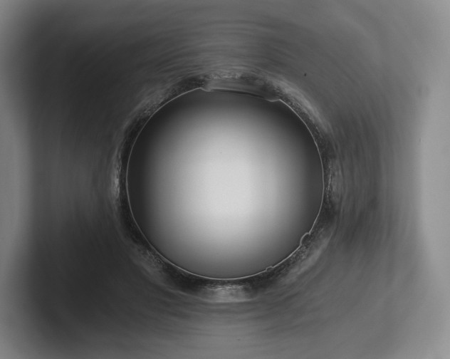 X0000101950501200807251137