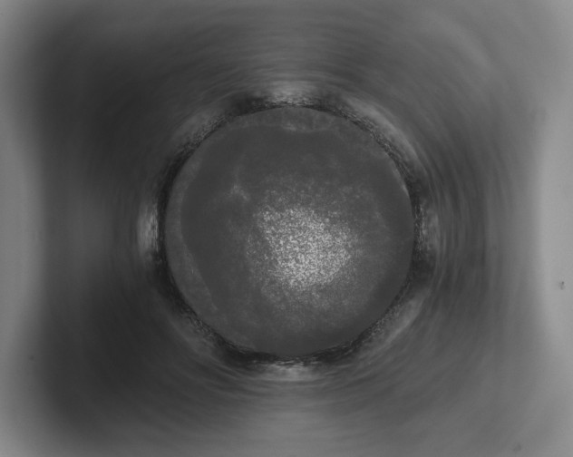 X0000101950502200807251137