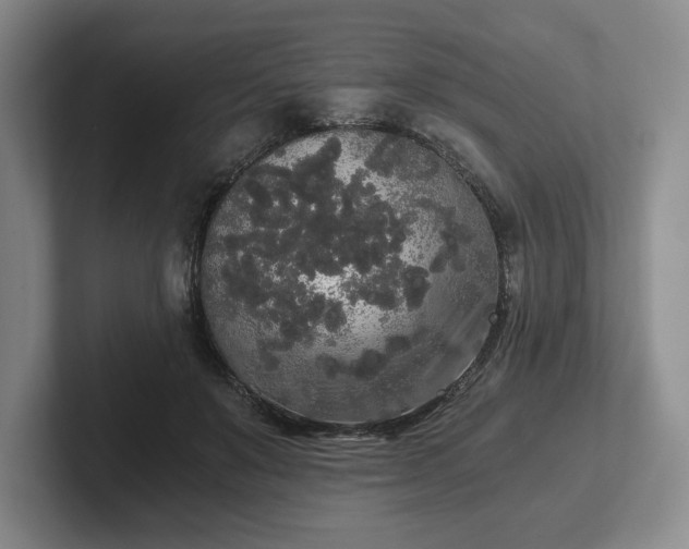 X0000101950503200807251137