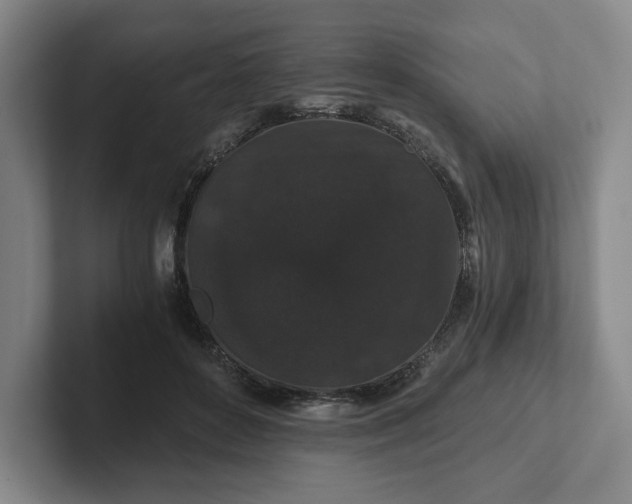 X0000101950504200807251137