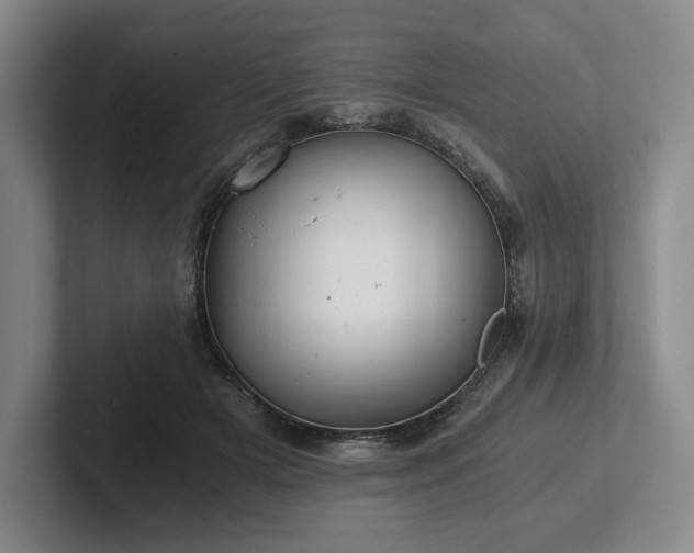 X0000101950505200807251137