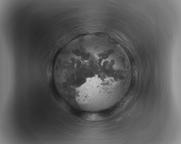 X0000101950507200807251137