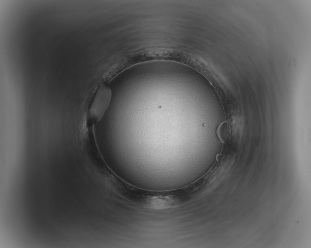 X0000101950508200807251137