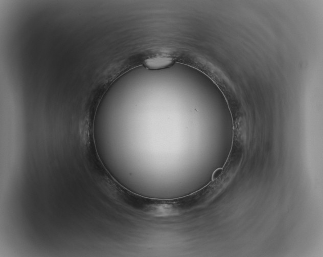 X0000101950509200807251137