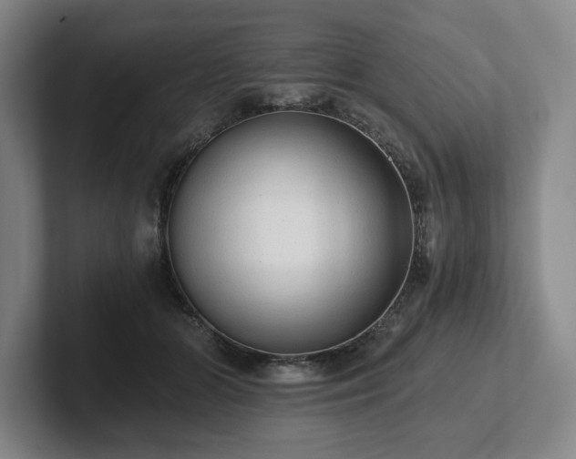 X0000101950510200807251137