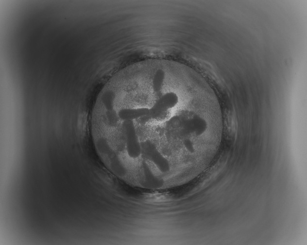 X0000101950511200807251137