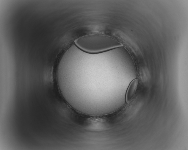 X0000101950512200807251137