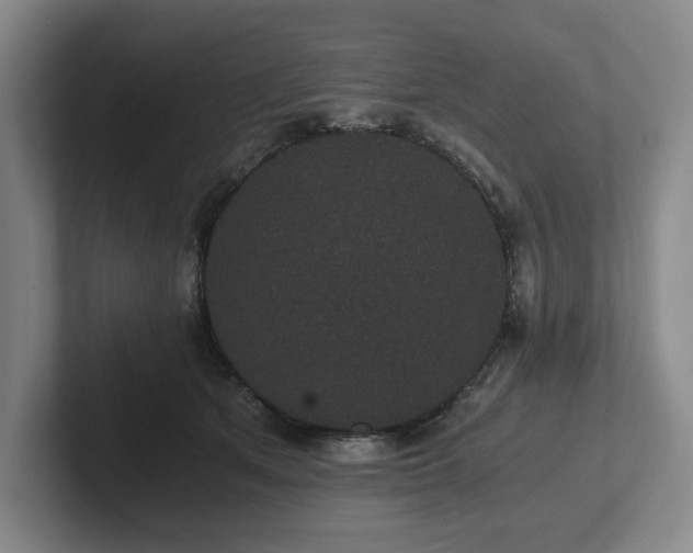 X0000101950513200807251137