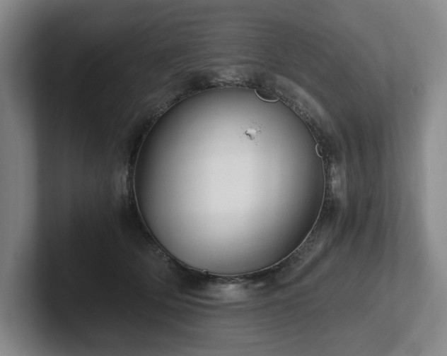 X0000101950514200807251137