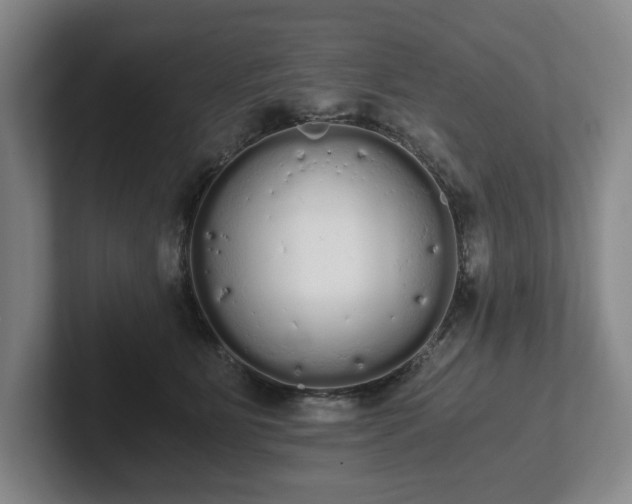 X0000101950515200807251137