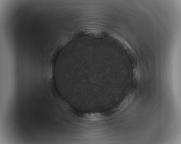 X0000101950517200807251137