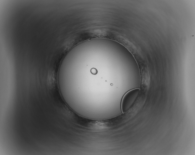 X0000101950518200807251137