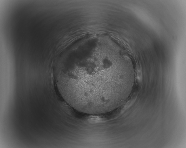 X0000101950519200807251137