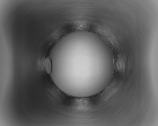 X0000101950520200807251137