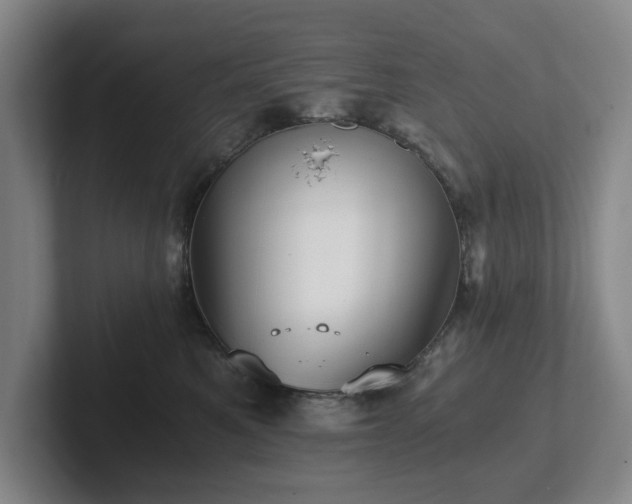 X0000101950521200807251137