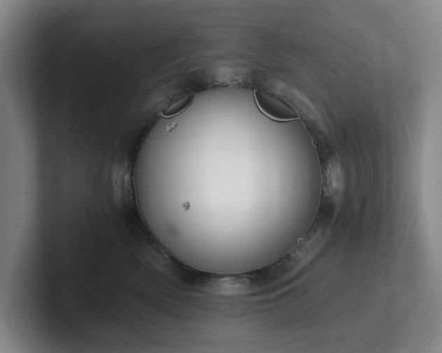 X0000101950522200807251137