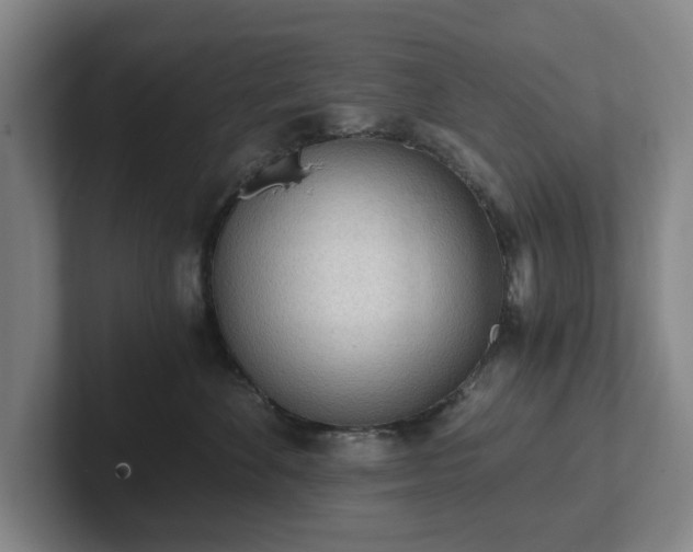 X0000101950524200807251137