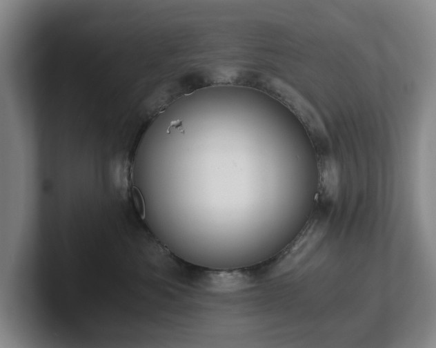 X0000101950525200807251137