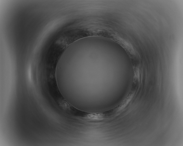 X0000101950526200807251137