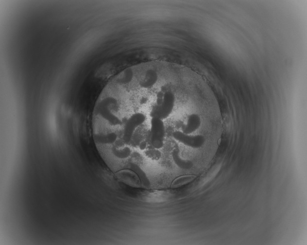 X0000101950527200807251137