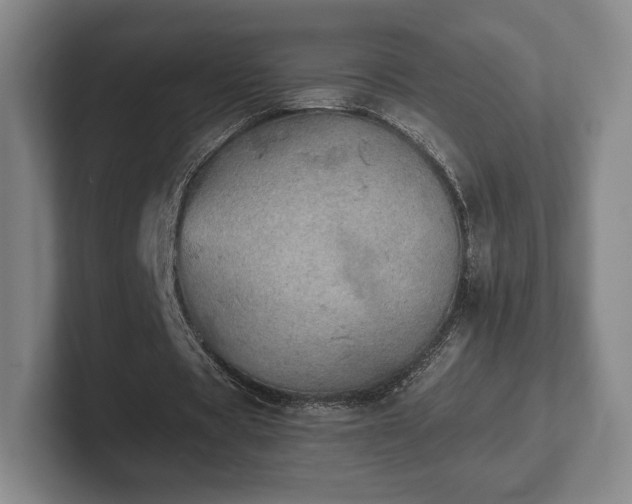 X0000101950529200807251136