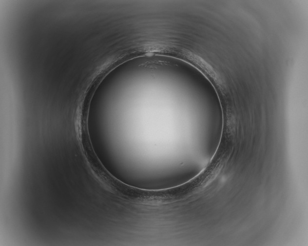 X0000101950530200807251136