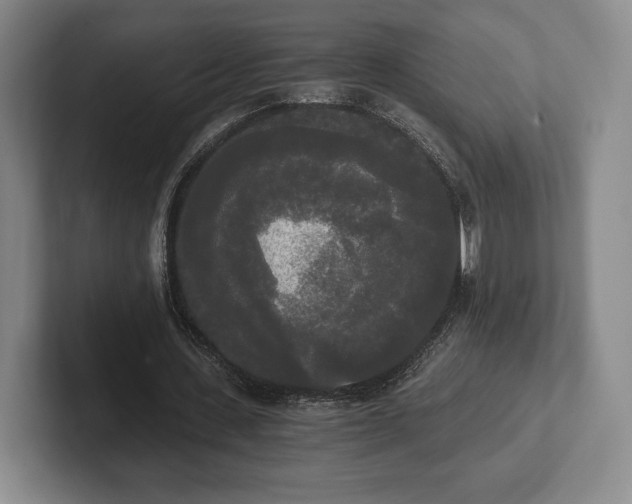 X0000101950531200807251136