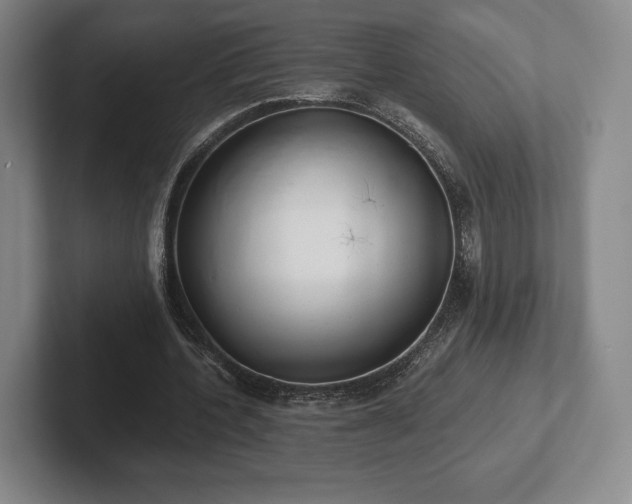 X0000101950532200807251136