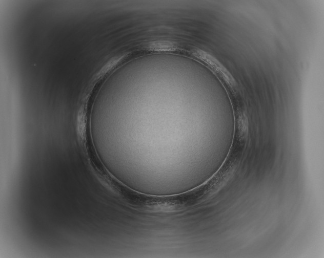 X0000101950533200807251136