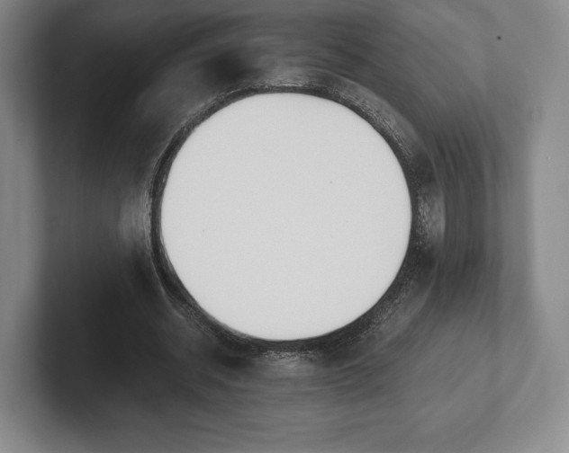 X0000101950534200807251136