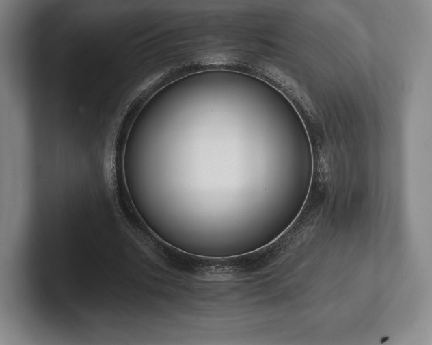 X0000101950535200807251136