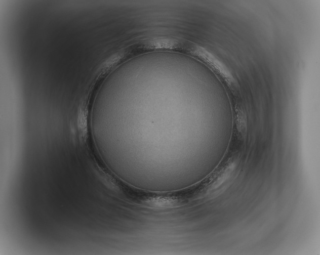 X0000101950537200807251136