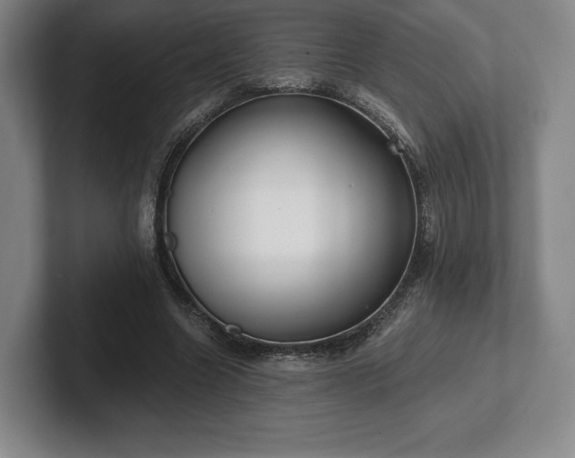 X0000101950538200807251136