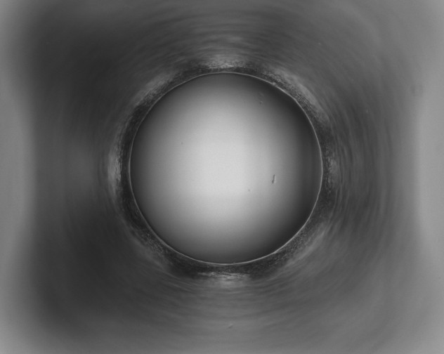 X0000101950539200807251136