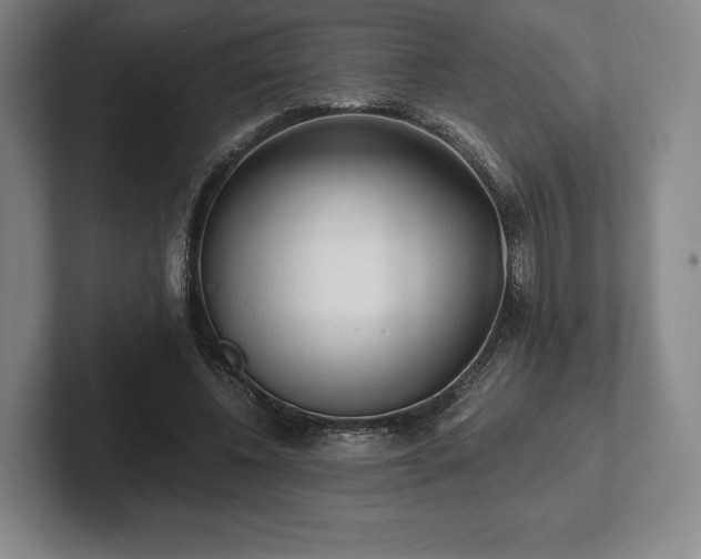 X0000101950540200807251136