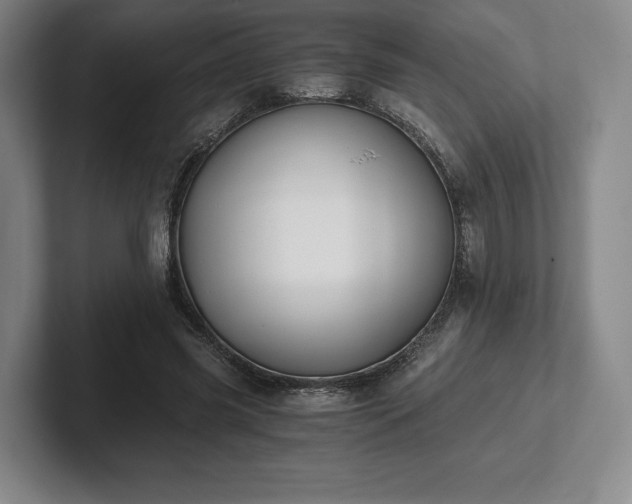 X0000101950541200807251136