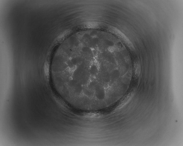 X0000101950542200807251136