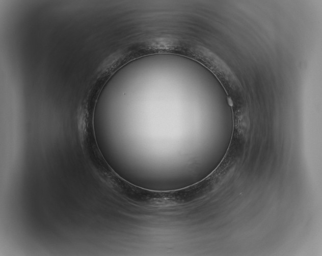 X0000101950544200807251136