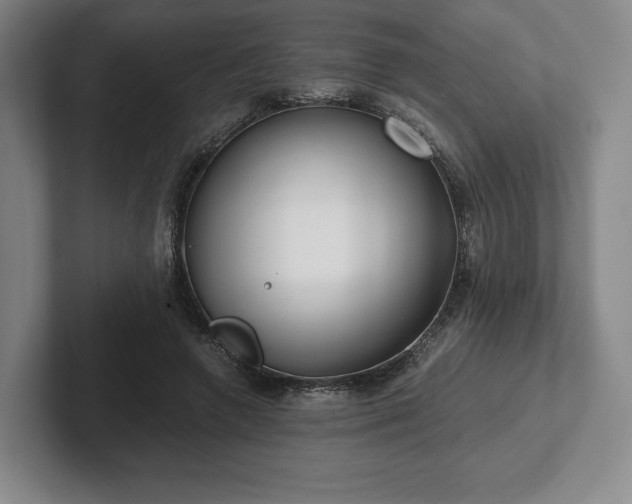 X0000101950546200807251136