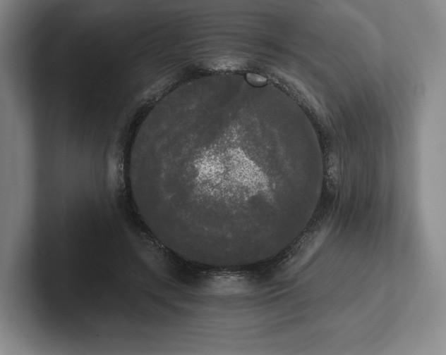 X0000101950547200807251136