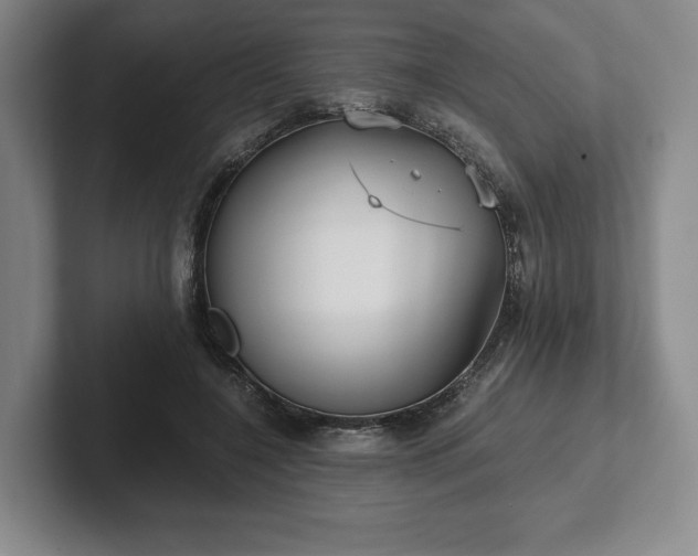 X0000101950548200807251136