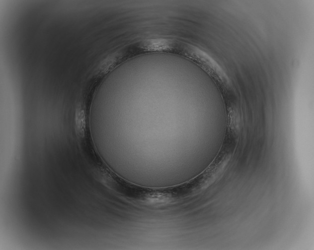 X0000101950549200807251136