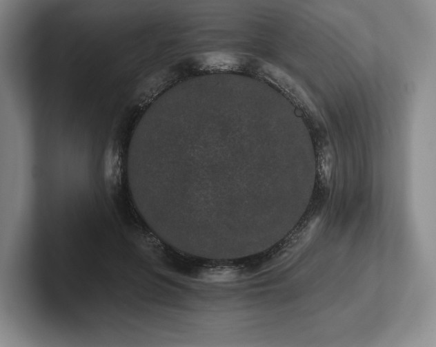 X0000101950551200807251137