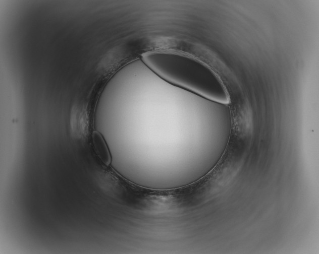 X0000101950552200807251137