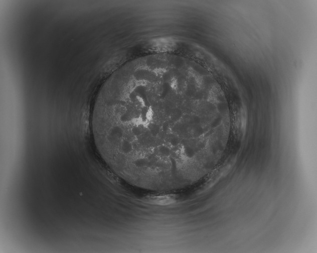 X0000101950553200807251137