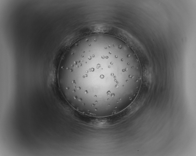 X0000101950554200807251137