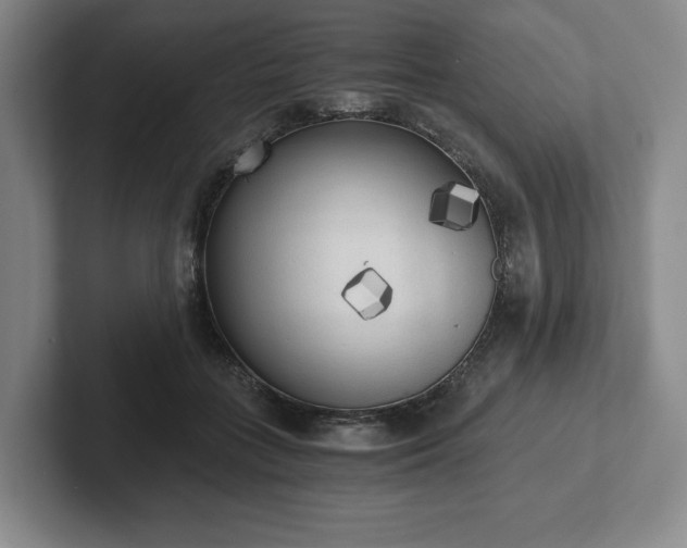 X0000101950555200807251137