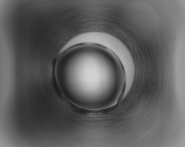 X0000101950556200807251137