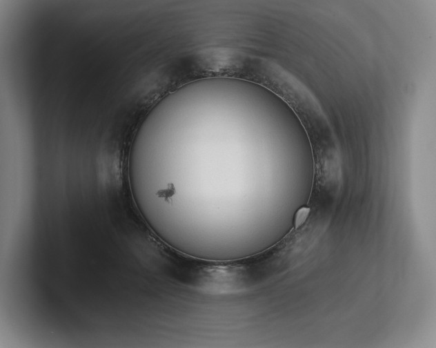 X0000101950558200807251137